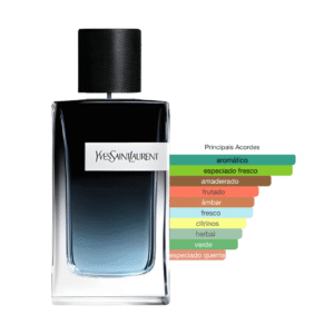 Perfume Y Yves Saint Laurent Masculino Eau de Parfum